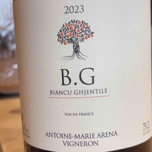 B.G - Antoine-Marie Arena - Antoine-Marie Arena 