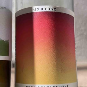 Bheeyo - Tinto Amorio - Anish Patel 
