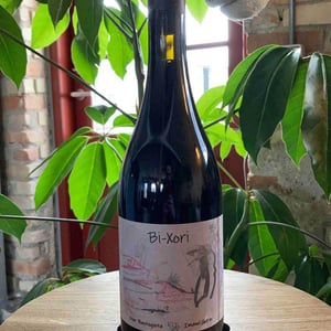 Bi-Xori (X Oxer Bastegieta) - Imanol Garay - imanol-garay -2018