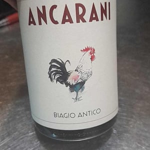 Biagio Antico - Ancarani - rita-babini-claudio-ancarani