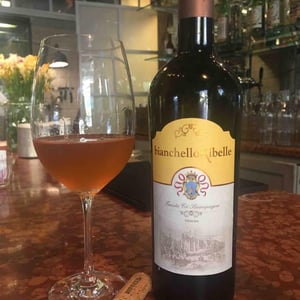 Tenuta Ca’ Sciampagne - Leonardo Cossi, Paola Grillo - Bianchello Ribelle