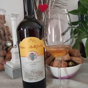 Bianchello Ribelle - Tenuta Ca’ Sciampagne - Leonardo Cossi, Paola Grillo 
