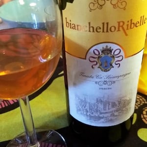Bianchello Ribelle - Tenuta Ca’ Sciampagne - Leonardo Cossi, Paola Grillo 