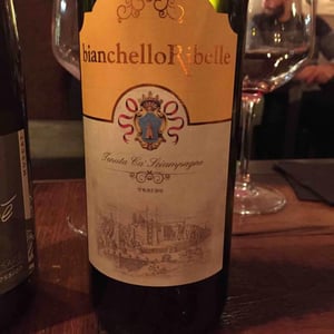 Bianchello Ribelle - Tenuta Ca’ Sciampagne - Leonardo Cossi, Paola Grillo 
