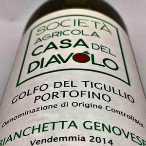 Bianchetta Genovese - Societa Agricolà Casa Del Diavolo - federica-sala -2014