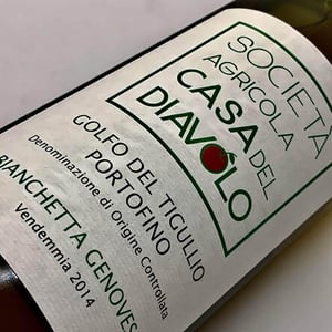 Bianchetta Genovese - Societa Agricolà Casa Del Diavolo - federica-sala -2014