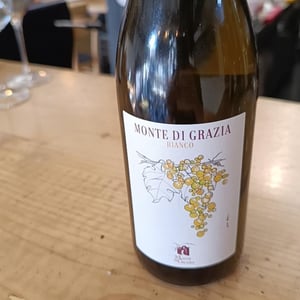 Bianco - Monte di Grazia - alfonso-arpino