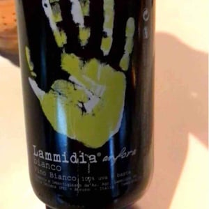 Lammidia - Marco Giuliani & Davide Gentile - Bianco Anfora