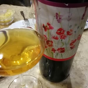 Bianco Ansonica - Podere Sante Marie - luisa-marino-colleoni