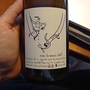Bianco b#2 - Azienda Agricola Ajola - jacopo-battista