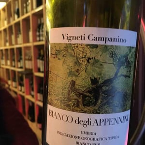 Bianco degli Appennini - Tenuta Baroni Campanino - Andrea Caracciolo 