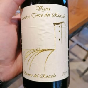 Bianco Del Roccolo - Vigna Antica Torre del Roccolo - Raimondo Zolin 