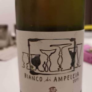 Ampeleia - Marco Tait - Bianco Di Ampeleia