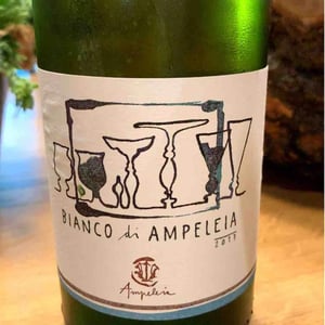 Ampeleia - Marco Tait - Bianco Di Ampeleia