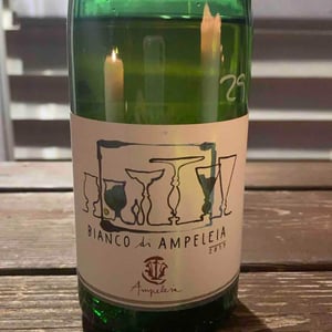 Ampeleia - Marco Tait - Bianco Di Ampeleia