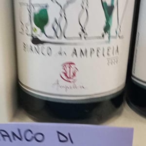 Bianco Di Ampeleia - Ampeleia - marco-tait