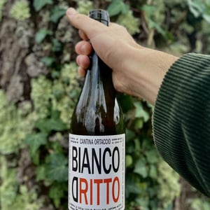Bianco D’Ritto - Cantina Ortaccio - massimo-antonuzi-patrizia-montanari