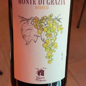 Bianco - Monte di Grazia - Alfonso Arpino 