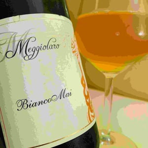 Bianco Mai - Meggiolaro Vini - cristiana-meggiolaro-riccardo-roncolato
