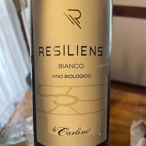Bianco RESILIENS - Muni Di Daniele Piccinin - daniele-piccinin