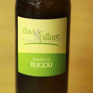Bianco Rugoli - Azienda Agricola Davide Spillare - Davide Spillare 