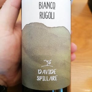 Bianco Rugoli - Azienda Agricola Davide Spillare - Davide Spillare 