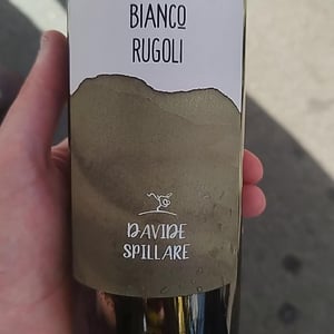 Bianco Rugoli - Azienda Agricola Davide Spillare - Davide Spillare 