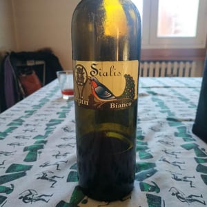 Sialis Grigio - Azienda Agricola Franco Terpin - Franco Terpin 