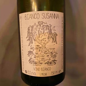 Bianco Susanna - Gazzetta Wines - Patricia Nelson 