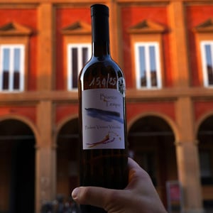 Bianco Tempo - Podere Veneri Vecchio - Raffaello Annicchiarico
