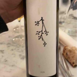 Bianco Terre Siciliane IGP - Manlio Manganaro - manlio-manganaro