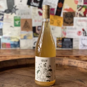 Bianco - Cantina Indigeno (TEMPORARILY CLOSED) - alfredo-giugno-loreto-lamolinara-nicola-reginaldi -2020