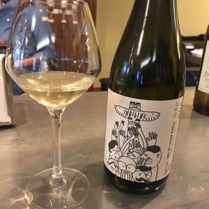 Bianco - Cantina Indigeno (TEMPORARILY CLOSED) - alfredo-giugno-loreto-lamolinara-nicola-reginaldi -2020