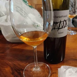 Dario Prinčič - Dario Prinčič - Bianco Trebež