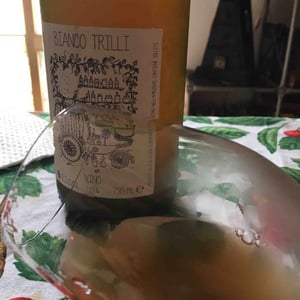 Bianco Trilli - Azienda Agricola Ajola - Jacopo Battista 