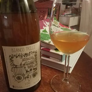 Bianco Trilli - Azienda Agricola Ajola - Jacopo Battista 