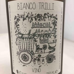 Bianco Trilli - Gazzetta Wines - Patricia Nelson 