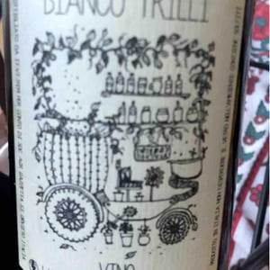 Bianco Trilli - Gazzetta Wines - Patricia Nelson 