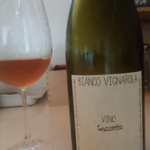 Bianco Vignarola - Gazzetta Wines - Patricia Nelson 
