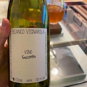 Bianco Vignarola - Gazzetta Wines - Patricia Nelson 