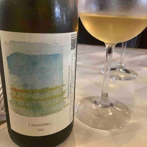 Vino Bianco - I Mandorli - Maddalena Pasquetti & Andrea Bargiacchi 