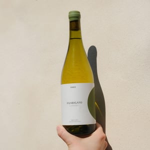 Bianco Veneto - Asja Rigato - asja-rigato