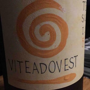 Viteadovest Bianco Terre Sicikiane 2016