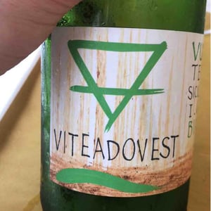 Bianco - Viteadovest - Vincenzo Angileri 