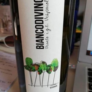 Biancodivino - Boscodivino - marco-gozzi