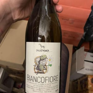 Biancofiore - Colleformica - sergio-paulo-bombetti