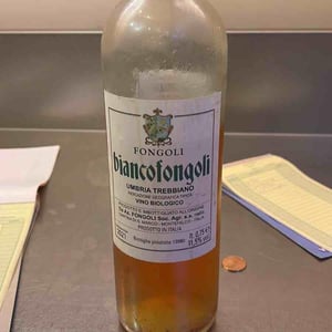 Biancofongoli - Fongoli - angelo-fongoli