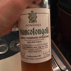 Biancofongoli - Fongoli - Angelo Fongoli 