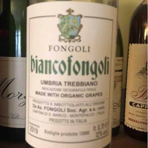 Fongoli - Angelo Fongoli - Biancofongoli