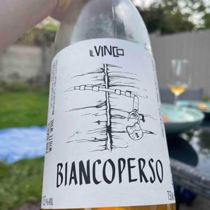 Biancoperso - Il Vinco - daniele-manoni-marco-fucini-nicola-brenciaglia-4l